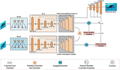 Multi-scale aware turbulence network for underwater object recognition